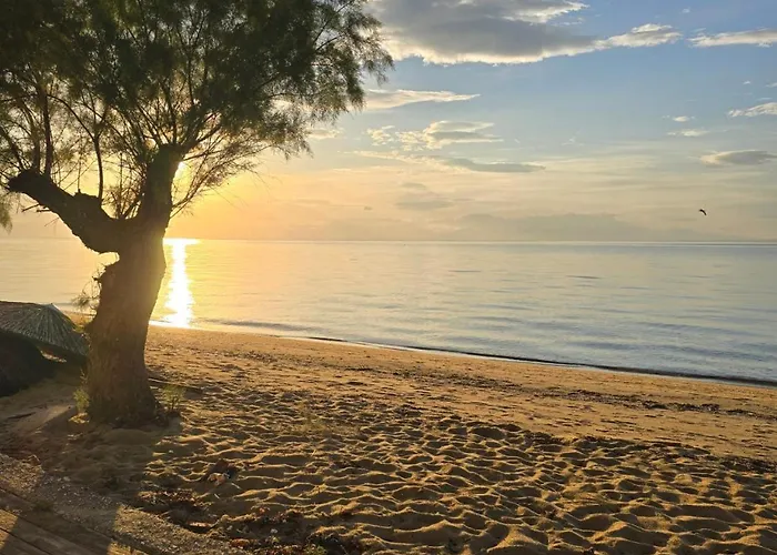 Dimi Deluxe 公寓 *