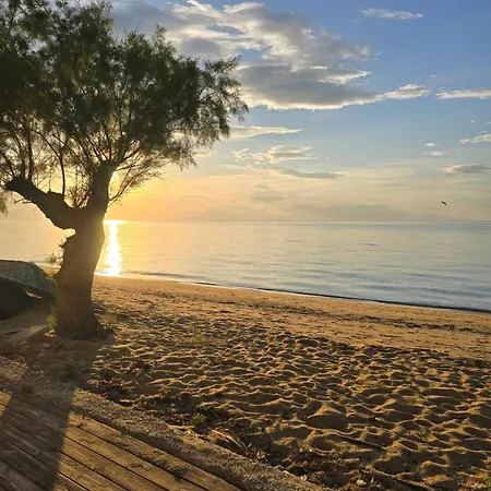 Dimi Deluxe 아파트 *